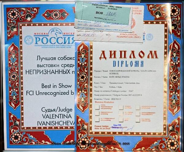 https://upforme.ru/uploads/0014/0b/48/2/t502923.jpg