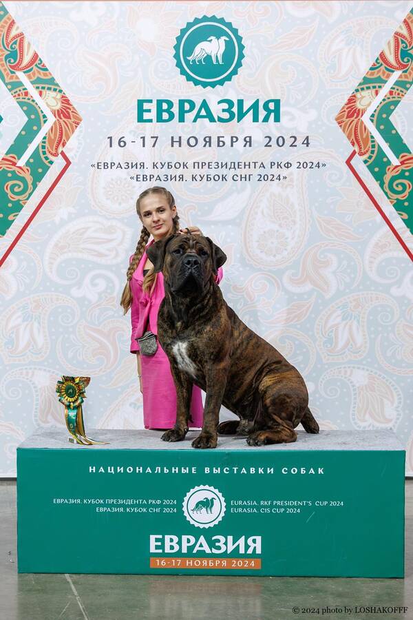https://upforme.ru/uploads/0014/0b/48/2/t505069.jpg