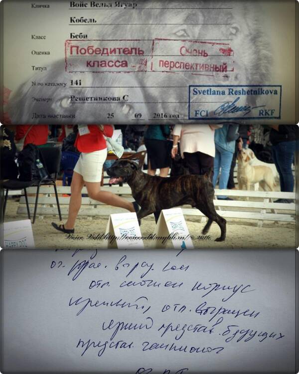 https://upforme.ru/uploads/0014/0b/48/2/t506738.jpg