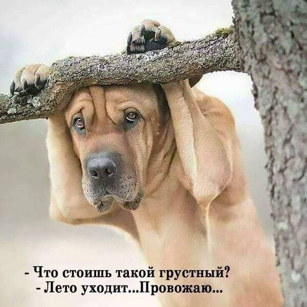 https://upforme.ru/uploads/0014/0b/48/2/t523362.jpg