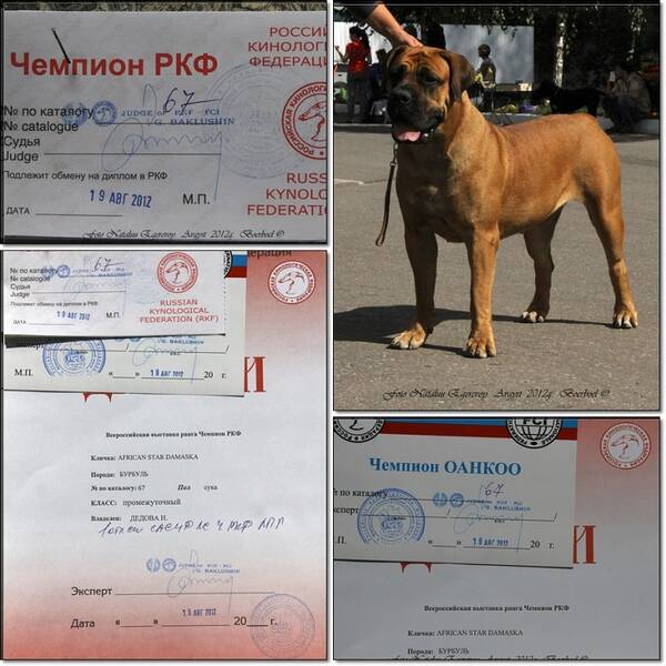 https://upforme.ru/uploads/0014/0b/48/2/t553980.jpg