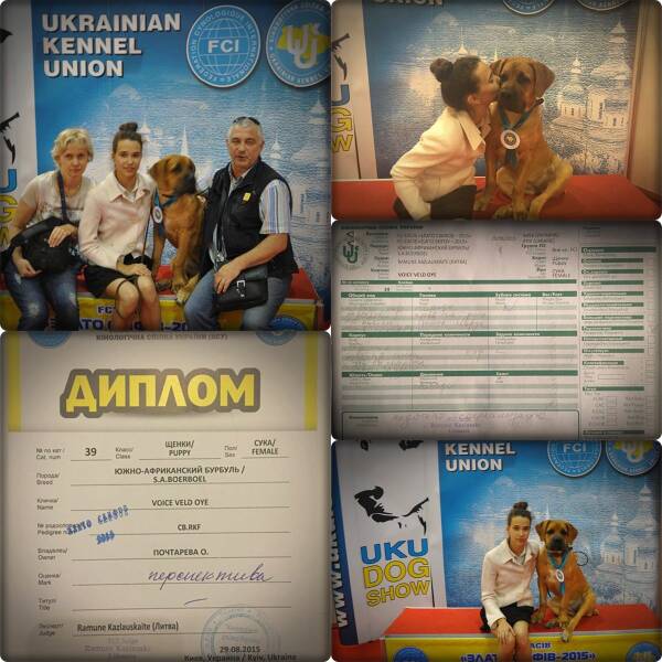 https://upforme.ru/uploads/0014/0b/48/2/t564141.jpg