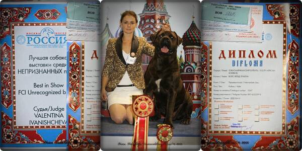 https://upforme.ru/uploads/0014/0b/48/2/t565873.jpg
