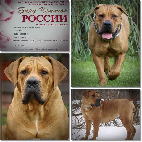 https://upforme.ru/uploads/0014/0b/48/2/t571413.jpg