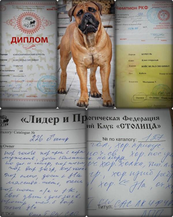 https://upforme.ru/uploads/0014/0b/48/2/t581584.jpg
