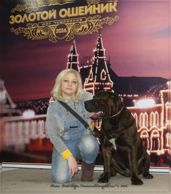 https://upforme.ru/uploads/0014/0b/48/2/t589899.jpg
