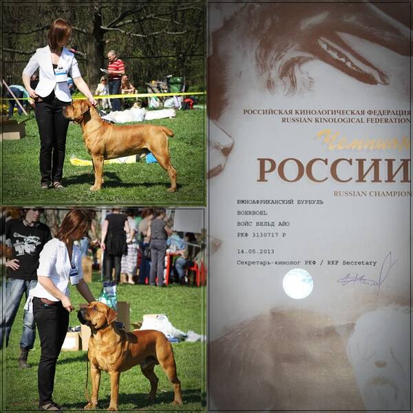 https://upforme.ru/uploads/0014/0b/48/2/t621342.jpg