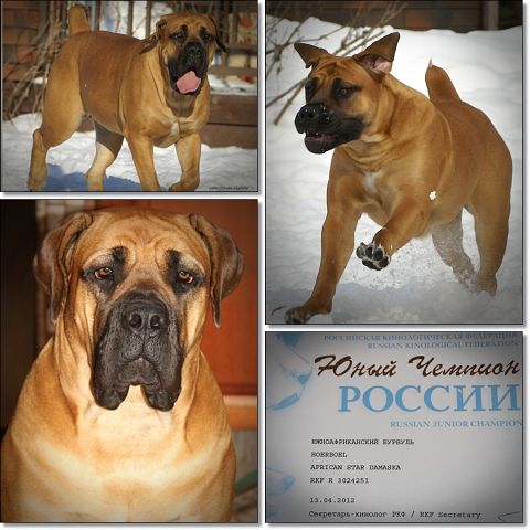 https://upforme.ru/uploads/0014/0b/48/2/t628602.jpg