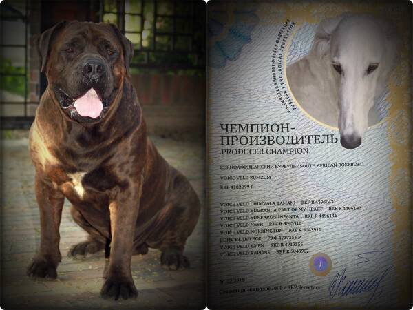 https://upforme.ru/uploads/0014/0b/48/2/t636391.jpg