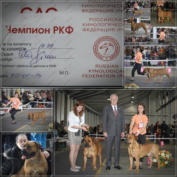 https://upforme.ru/uploads/0014/0b/48/2/t643844.jpg