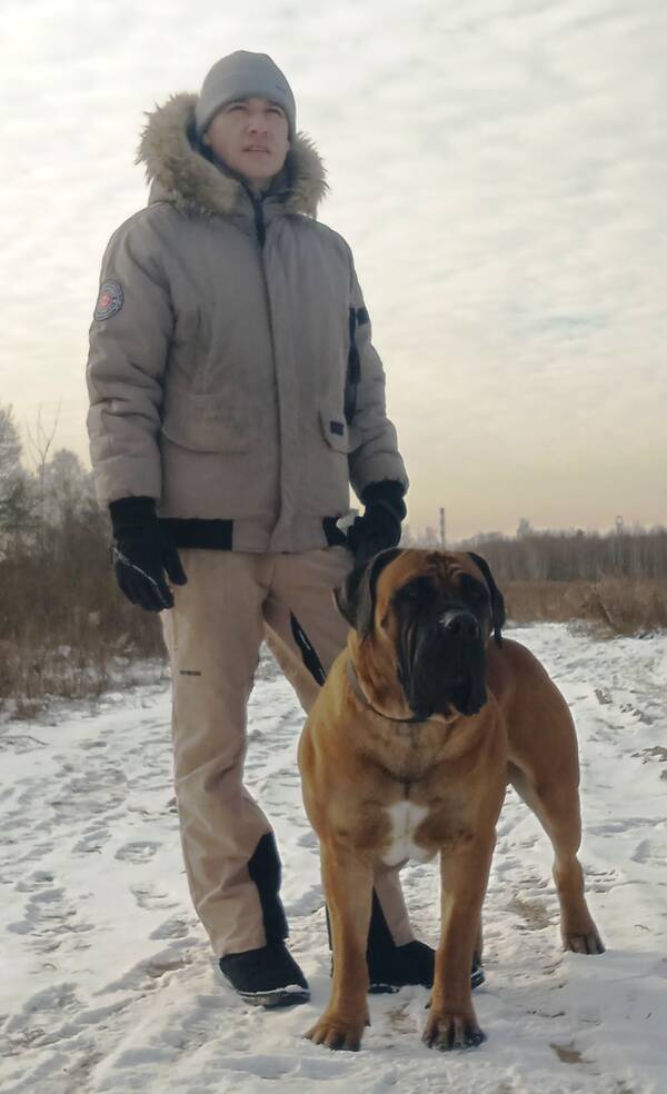 https://upforme.ru/uploads/0014/0b/48/2/t648602.jpg