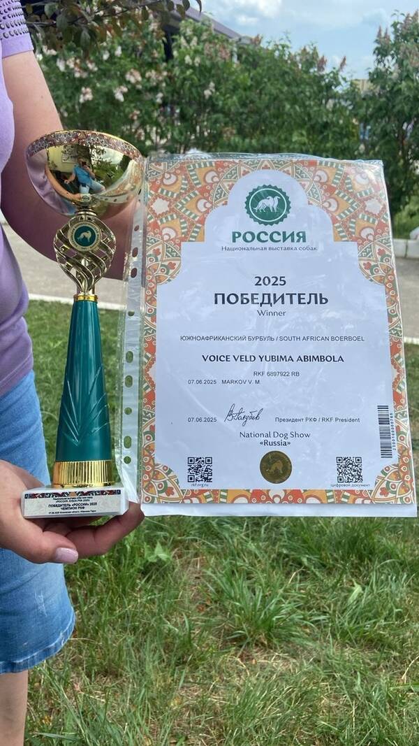 https://upforme.ru/uploads/0014/0b/48/2/t660014.jpg