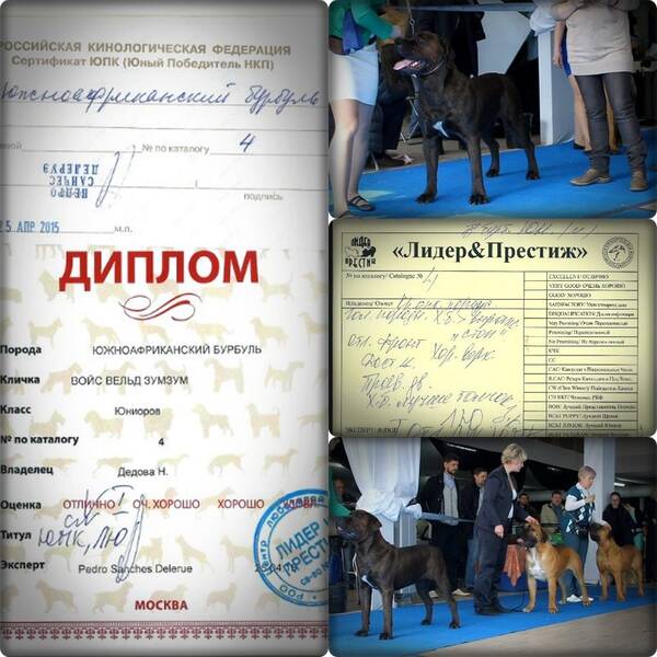 https://upforme.ru/uploads/0014/0b/48/2/t673163.jpg