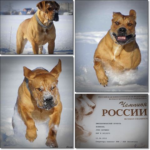 https://upforme.ru/uploads/0014/0b/48/2/t675654.jpg