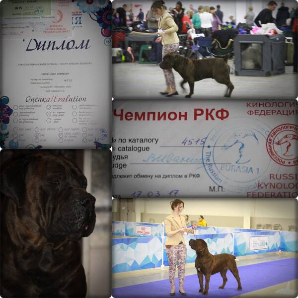 https://upforme.ru/uploads/0014/0b/48/2/t697587.jpg