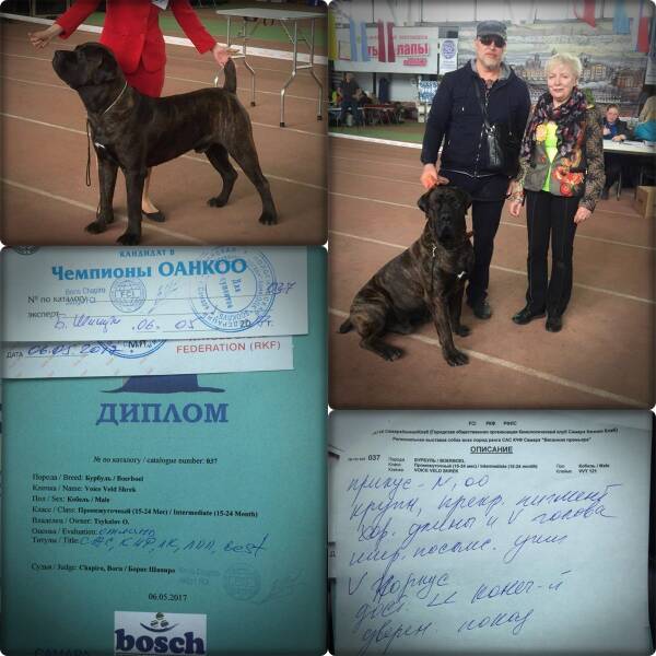 https://upforme.ru/uploads/0014/0b/48/2/t705304.jpg