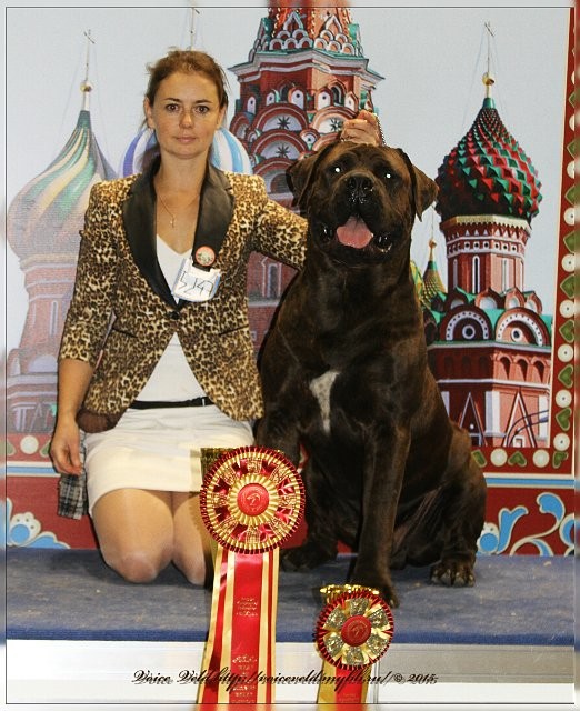 https://upforme.ru/uploads/0014/0b/48/2/t74896.jpg