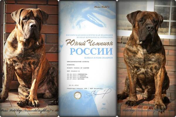 https://upforme.ru/uploads/0014/0b/48/2/t750904.jpg