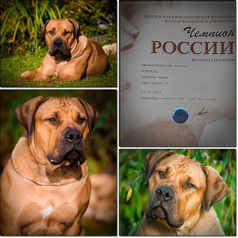 https://upforme.ru/uploads/0014/0b/48/2/t752065.jpg
