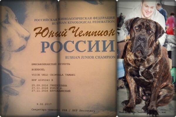 https://upforme.ru/uploads/0014/0b/48/2/t756699.jpg