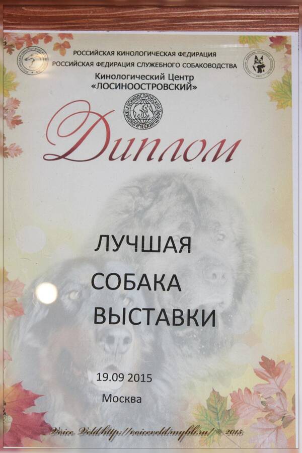 https://upforme.ru/uploads/0014/0b/48/2/t796234.jpg