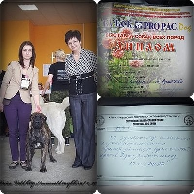 https://upforme.ru/uploads/0014/0b/48/2/t806230.jpg