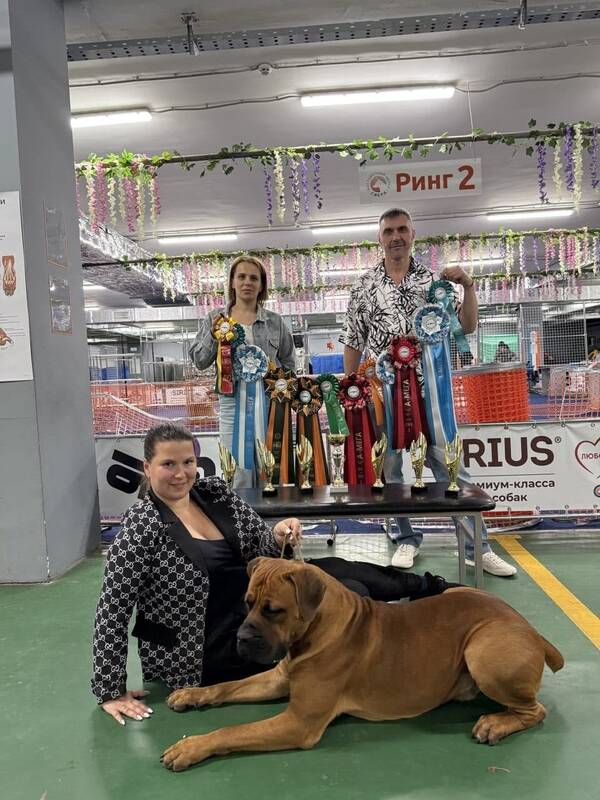 https://upforme.ru/uploads/0014/0b/48/2/t829344.jpg