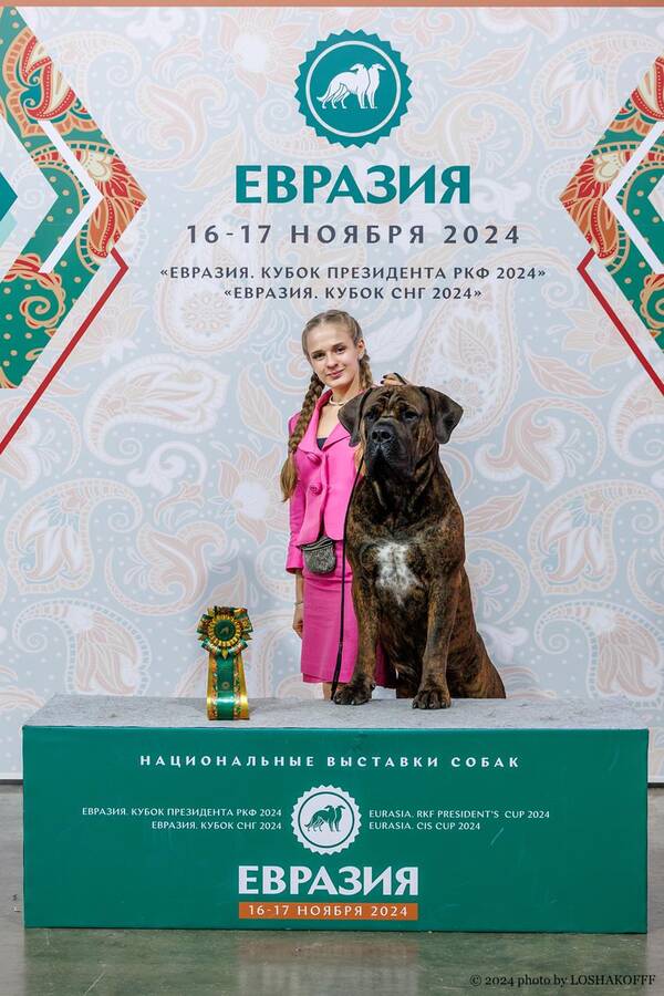 https://upforme.ru/uploads/0014/0b/48/2/t848984.jpg