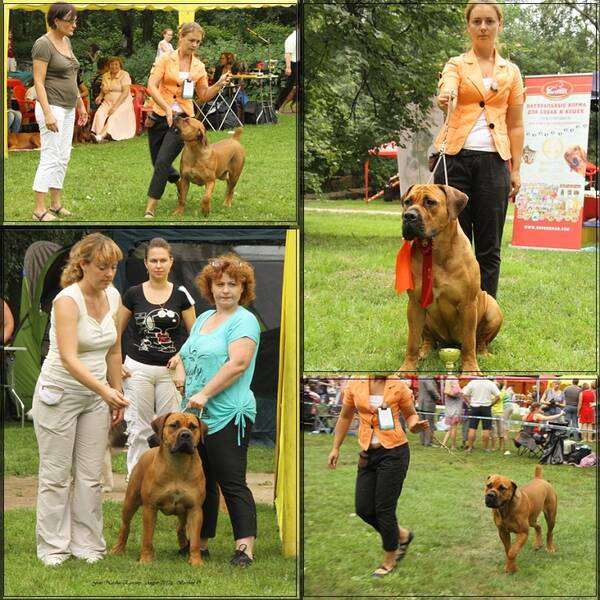 https://upforme.ru/uploads/0014/0b/48/2/t861780.jpg