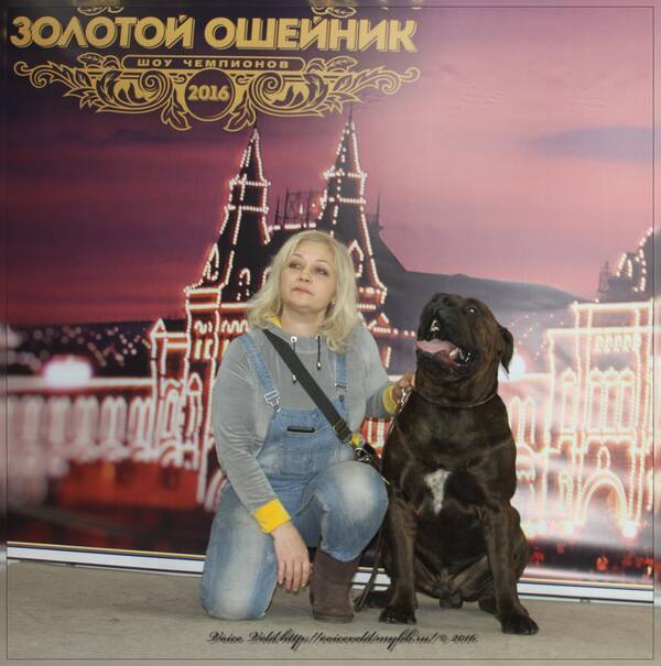 https://upforme.ru/uploads/0014/0b/48/2/t863292.jpg