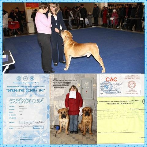 https://upforme.ru/uploads/0014/0b/48/2/t883985.jpg