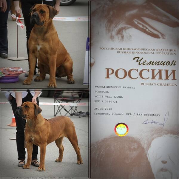 https://upforme.ru/uploads/0014/0b/48/2/t893641.jpg