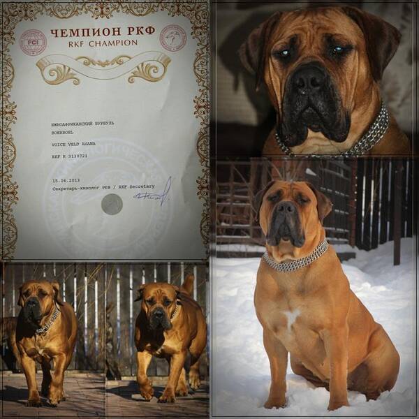 https://upforme.ru/uploads/0014/0b/48/2/t933909.jpg