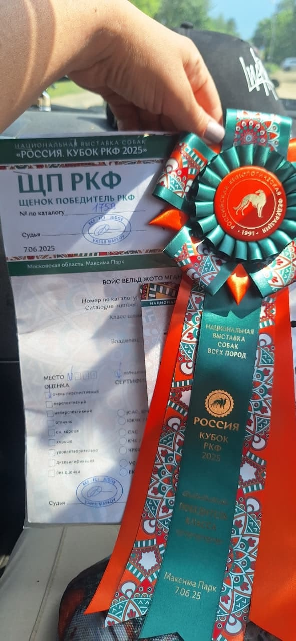 https://upforme.ru/uploads/0014/0b/48/2/t975063.jpg