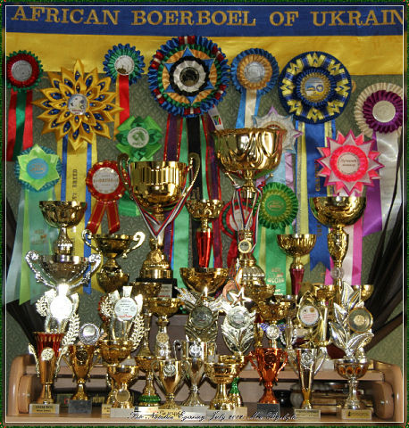 https://upforme.ru/uploads/0014/0b/48/2/t987708.jpg