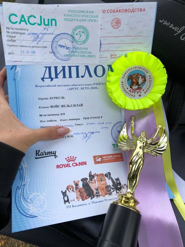 https://upforme.ru/uploads/0014/0b/48/303/t501351.jpg