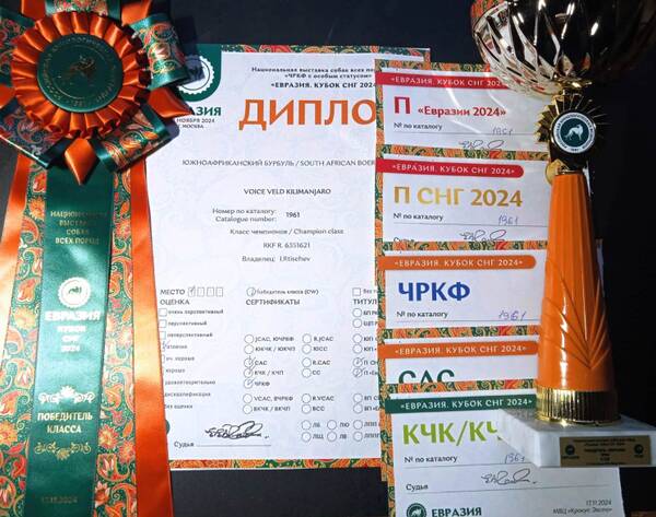 https://upforme.ru/uploads/0014/0b/48/438/t199654.jpg