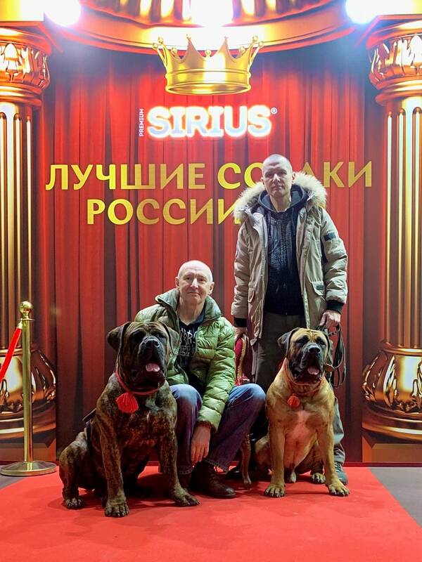 https://upforme.ru/uploads/0014/0b/48/438/t253083.jpg