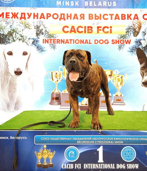 https://upforme.ru/uploads/0014/0b/48/438/t309172.jpg