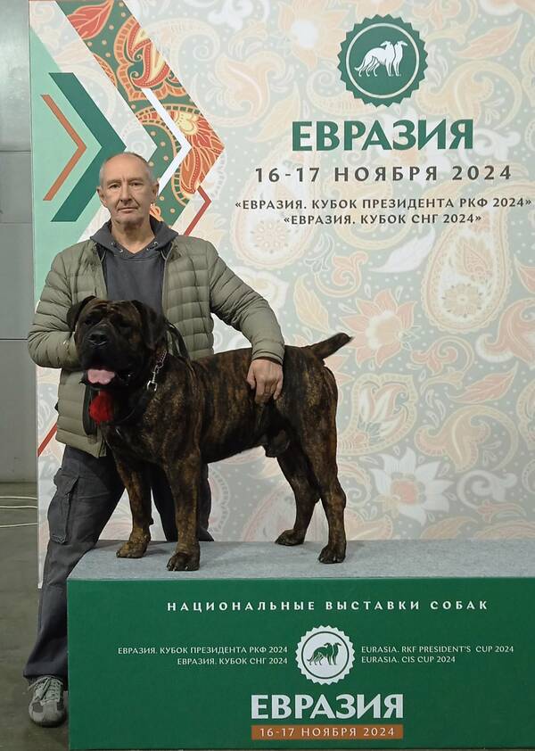 https://upforme.ru/uploads/0014/0b/48/438/t321009.jpg