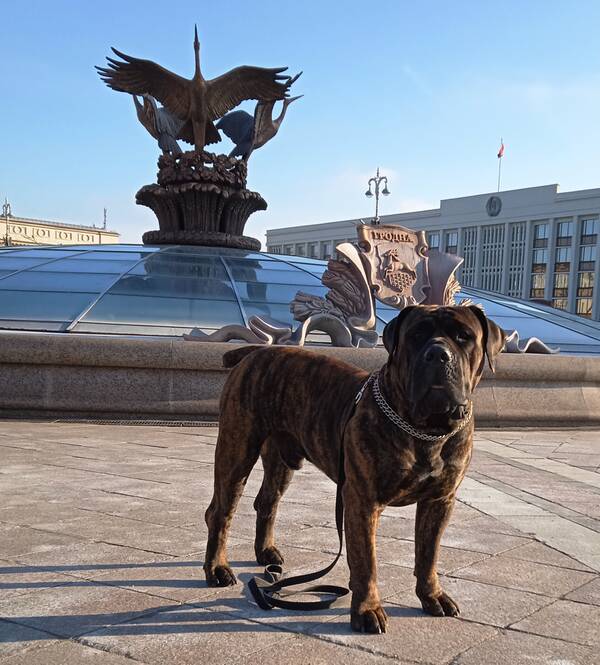 https://upforme.ru/uploads/0014/0b/48/438/t420958.jpg