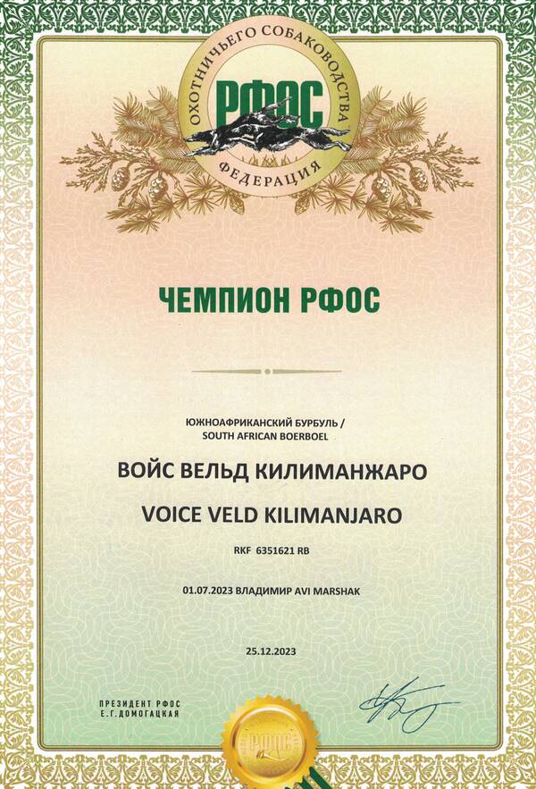 https://upforme.ru/uploads/0014/0b/48/438/t495137.jpg