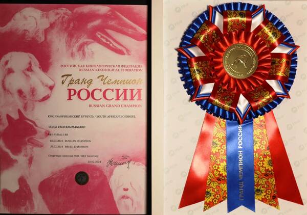 https://upforme.ru/uploads/0014/0b/48/438/t594285.jpg
