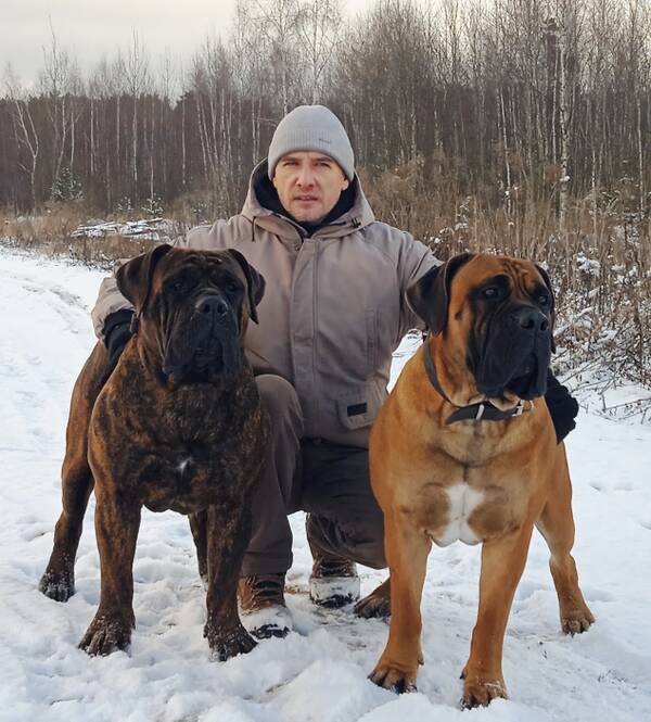 https://upforme.ru/uploads/0014/0b/48/438/t648968.jpg
