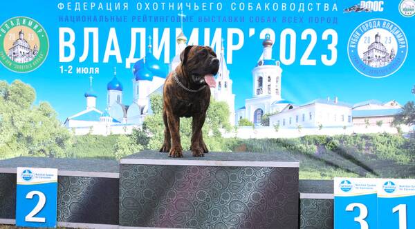 https://upforme.ru/uploads/0014/0b/48/438/t664641.jpg