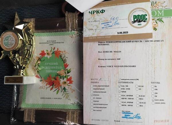 https://upforme.ru/uploads/0014/0b/48/438/t672713.jpg