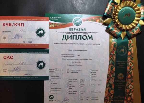 https://upforme.ru/uploads/0014/0b/48/438/t688232.jpg