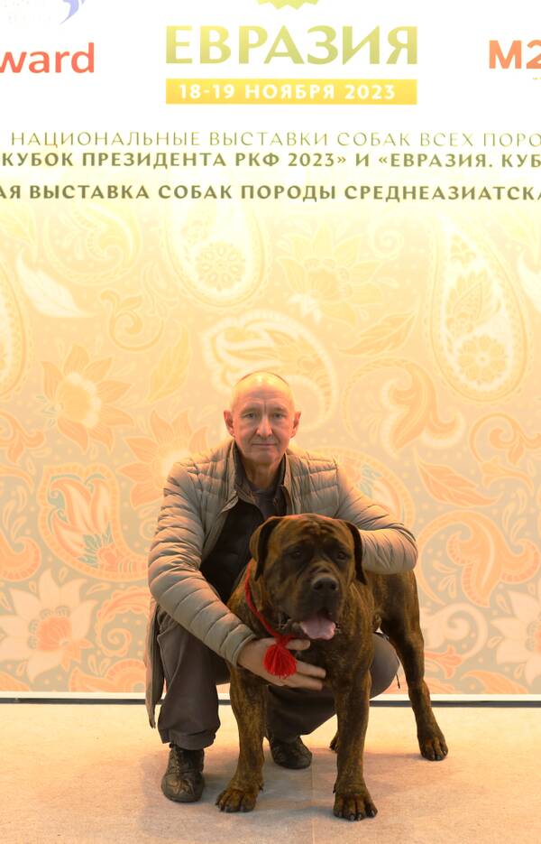 https://upforme.ru/uploads/0014/0b/48/438/t756507.jpg