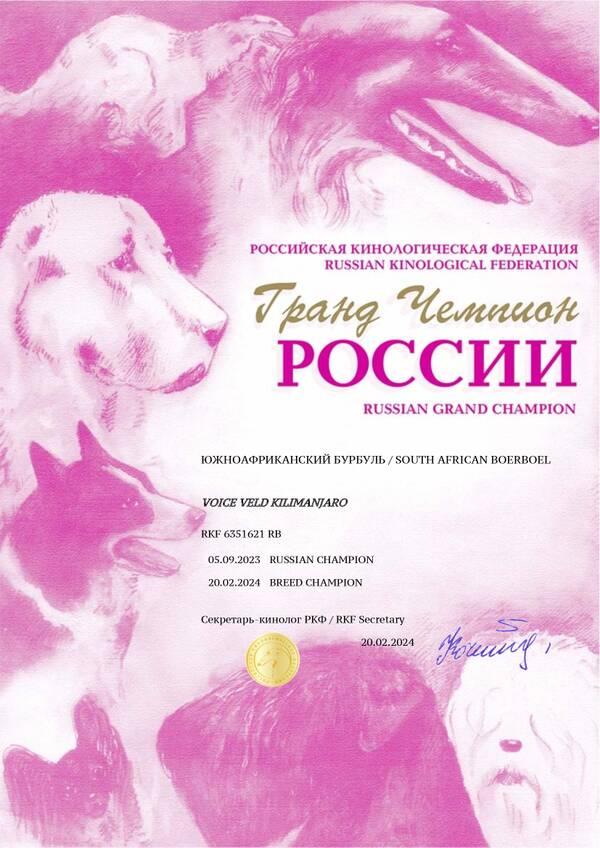 https://upforme.ru/uploads/0014/0b/48/438/t768957.jpg