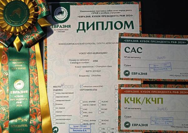 https://upforme.ru/uploads/0014/0b/48/438/t833180.jpg